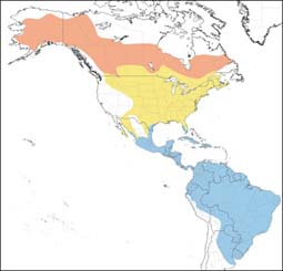 Solitary Sandpiper range map