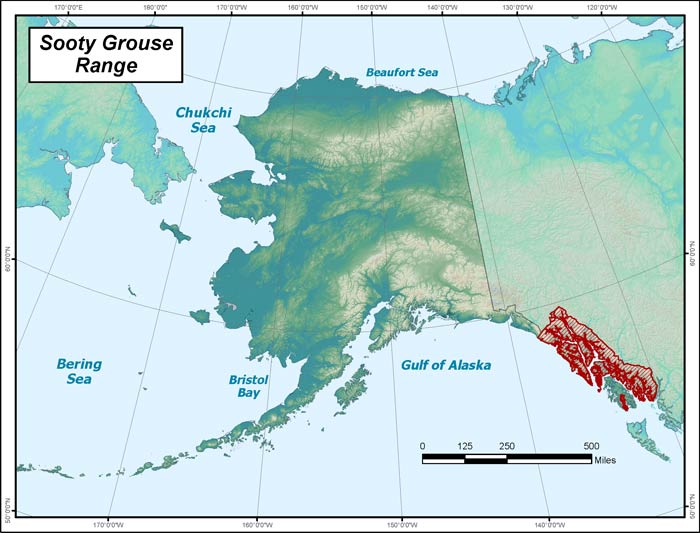 Range map of Sooty Grouse in Alaska