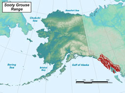 Sooty Grouse range map