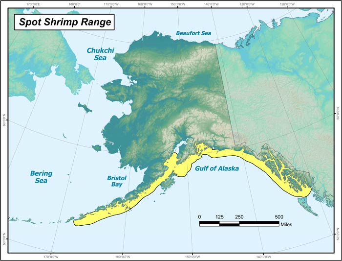 Range map of Spot Shrimp in Alaska