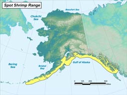 Spot Shrimp range map