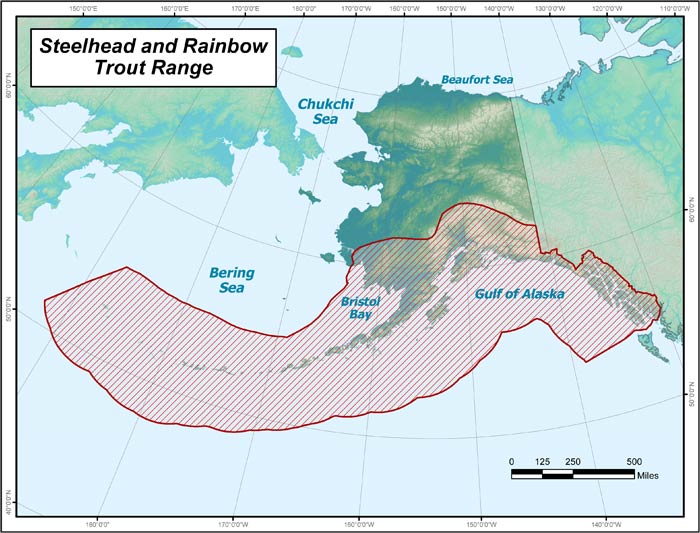 Range map of Steelhead / Rainbow Trout in Alaska