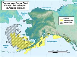 Tanner Crab Species Profile, Alaska Department of Fish and Game