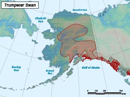 Trumpeter Swan range map