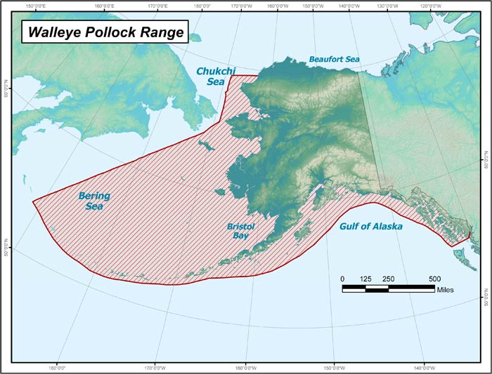 Range map of Walleye Pollock in Alaska