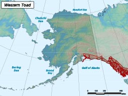 Western Toad range map