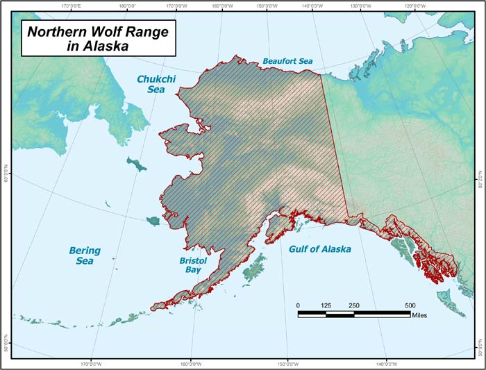 Range map of Wolf in Alaska