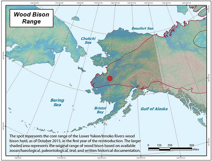 Range map of Wood Bison in Alaska