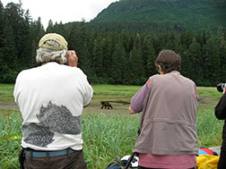 Picture of bear viewing at Pack Creek