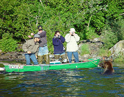 Bear in water outside boat