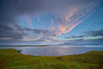 Late afternoon on Izembek on the Alaska Peninsula