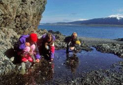 Kid's tidepooling