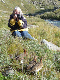 Woman photographing ptarmigan