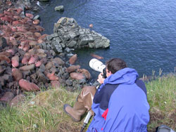 Photographer at Round Island