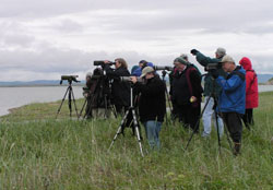 Group of people with binoculars