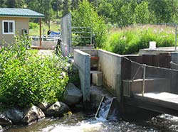 Crooked Creek Weird facility