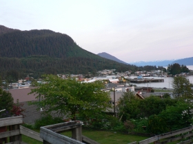 photo of Downtown Wrangell area wildlife