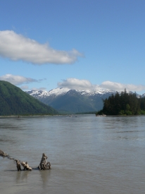 photo of Stikine River area wildlife