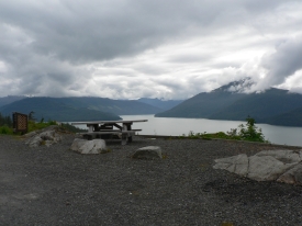 photo of Wrangell Island area wildlife