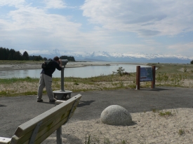 photo of Eagle Beach State Park area wildlife