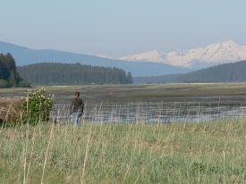 photo of Mendenhall Wetlands area wildlife