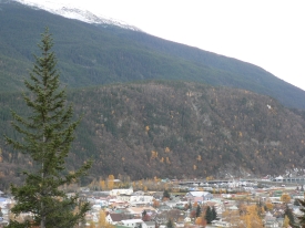 photo of Downtown Skagway area wildlife