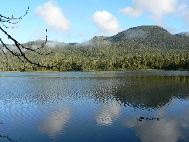 photo of Balls Lake area wildlife