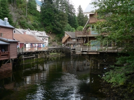 photo of Downtown Ketchikan area wildlife