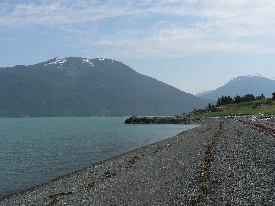 photo of Battery Point area wildlife