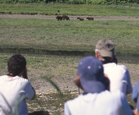 photo of Pack Creek area wildlife