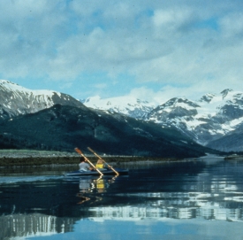photo of Icy Strait area wildlife