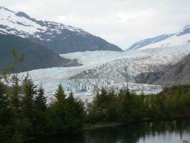 photo of Mendenhall Glacier area wildlife