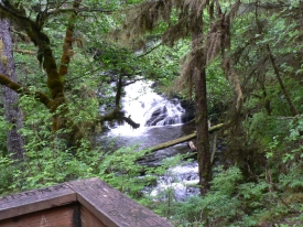 photo of Settlers Cove State Recreation Site area wildlife