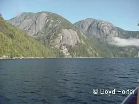 photo of Misty Fjords National Monument area wildlife