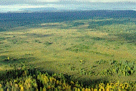 photo of Dude Creek Critical Habitat area wildlife