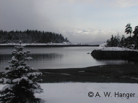 photo of Point Bridget State Park area wildlife