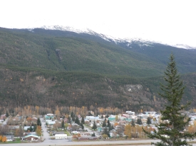 photo of Skagway area wildlife