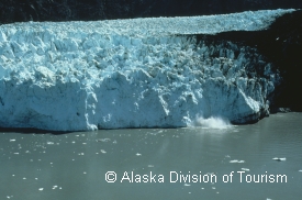 photo of Glacier Bay Boat Tour area wildlife