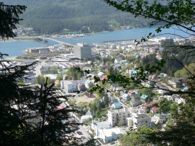 photo of Downtown Juneau area wildlife